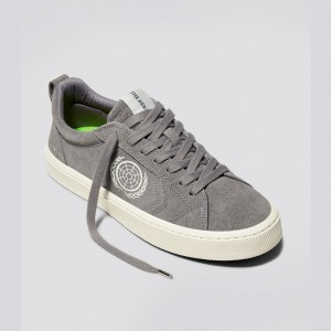 CATIBA PRO Cariuma Low Top Suede Damskie Szare | 378DCFYWE