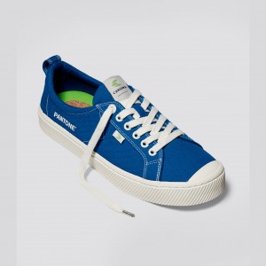 OCA LOW Cariuma Low Top Canvas Damskie Niebieskie | 035ISKAFV