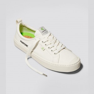 OCA LOW Cariuma Low Top Canvas Męskie Białe | 527XIVREK