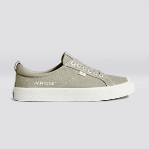 OCA LOW Cariuma Low Top Canvas Męskie Plaza Taupe | 310HEKYUZ