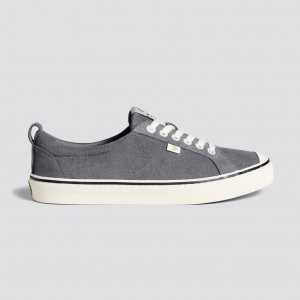 OCA LOW Cariuma Low Top Suede Damskie Paski Szare | 586EPZLQA