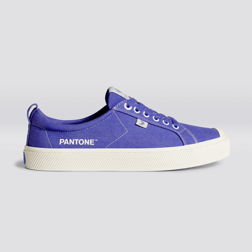 OCA LOW Cariuma Low Top Płócienne Wegański Męskie Very Peri / Off-White Canvas | 423TWOPZJ