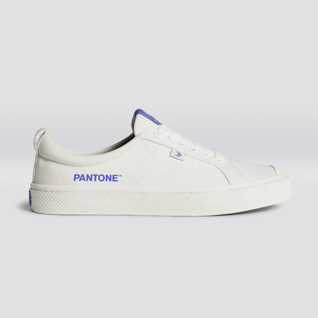 OCA LOW Cariuma Low Top Płócienne Wegański Męskie Off-White / Very Peri Canvas | 613IENQLS